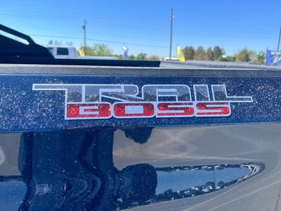2021 Chevrolet Silverado 1500 Custom Trail Boss