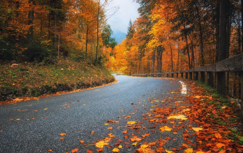 Happy Autumn at Blake Fulenwider Chevrolet